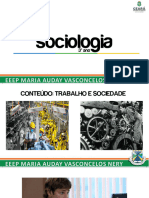 (3º Ano) Trabalho e Sociedade