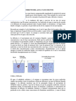 Movimiento Del Agua y Los Solutos