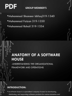 Anatomy of Software House