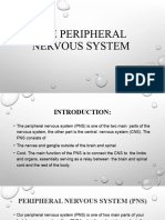 HAP Lesson 4 (Peripheral Nervous System)