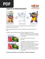 Que Es La Vectorizacion