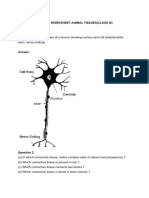 BIOLOGY WORKSHEET-ANIMAL TISSUES (Launch Pad 1)