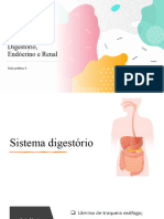 Ciencias Morfofuncionais Sist. Digestório, Edógrino e Renal