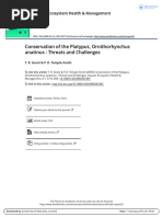 Conservation of The Platypus, Ornithorhynchus Anatinus: Threats and Challenges