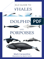 Field Guide To Whales, Dolphins and Porpoises - Mark Carwardine - Bloomsbury Naturalist, 2022