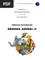 Secuencia Didáctica - Los Animales - Vertebrados e Invertebrados - Seres Vivos