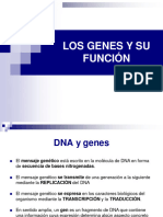 Tema 15 Genética Molecular