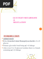 Glycogen Metabolism