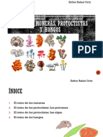 Unidad 2. MONERAS PROTOCTISTAS Y HONGOS