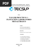 Taller Flotación