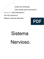 Microsoft Word - Documento1