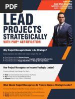 Lead Project Strategicaly Brochure