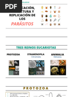 Clasificación, Estructura y Replicación de Los Parasitos