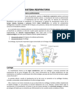 UABP 4. Aparato Respiratorio