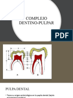 Complejo Dentino Pulpar