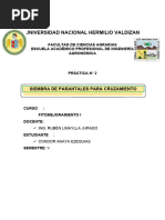 Informe de Laboratorio Limallaya