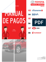 Manual de Pagos TFS