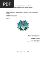 Primera Fase de Evaluación Del Cofre Pedagógico-Comprimido