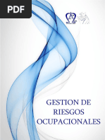 Gestion de Riesgos Ocupacionales