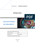 GUÍS PRÁCTICA LAB. SEM 08. MITOCONDRIA y RESPIRACION CELULAR Als