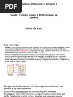 Função e Determinação de Domínios - Apontamentos Básicos