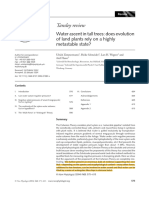 New Phytologist - 2004 - Zimmermann - Water Ascent in Tall Trees Does Evolution of Land Plants Rely On A Highly Metastable