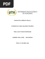 Caso Penal 2 Rosa Tercer Parcial