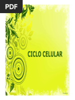 CLASE 11 Ciclo Celular