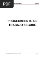 Procedimiento de Trabajo Seguro