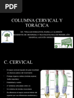 Columna Cervical y Toracica