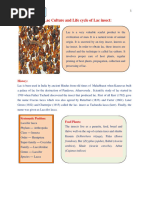 Life Cycle of Lac Insect