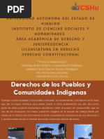 Proyecto Humanitario PDF