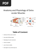 Anatomy and Physiology of Extra Ocular Muscles