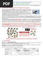 CH4 - Mécanismes Évolutifs Et Biodiversité