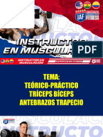 CLASE 6 TRICEPS BICEPS ANTEBRAZO TRAPECIO - Instructor