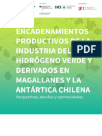 Encadenamientos Productivos H2V y Derivados - 2023, GIZ. Final