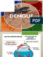 8 Dengue, Chikungunia y Zika