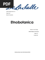 Etnobotanica