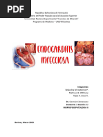 Endocarditis Infecciosa Informe