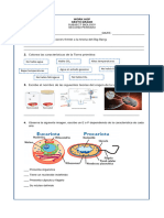 Taller Biologia 6 - Ii Periodo