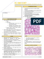 Male Reproductive Histology