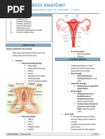 Female Reproductive System