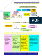 Fichas Resumo Coloridas Parte 1 2