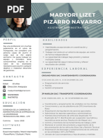 Cv-Pizarro Navarro Madyori