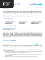 Maria Professional CV