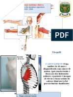 Casos Clínicos Membros Superiores 2018