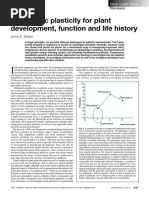 Phenotypic Plasticity For Plant Development Function and Life History