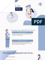 Pruebas de Bienestar Fetal