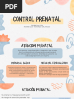 Control Prenatal