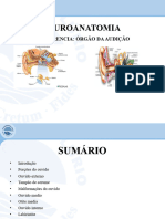 Aula Anatomia II - Anatomia Do Orgão de Audição